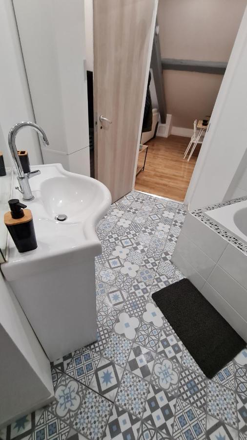 Magnifique Appartement Refait A Neuf Pont-Saint-Vincent エクステリア 写真